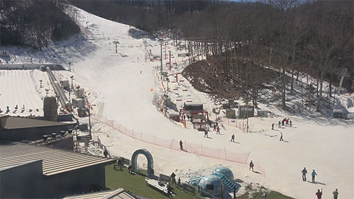 photo of snow skiers